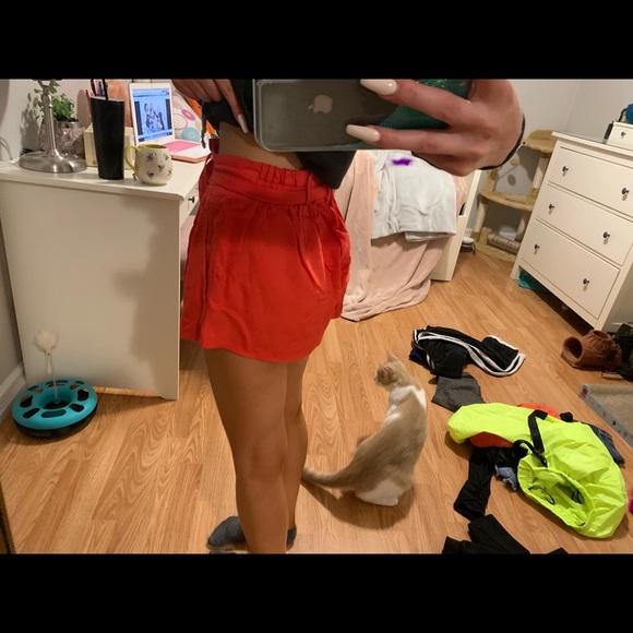 Talula shorts - Picture 2 of 3